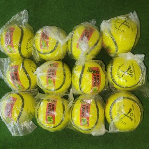 Dozen Smart Touch Sliotars