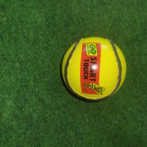 Smart Touch Sliotar